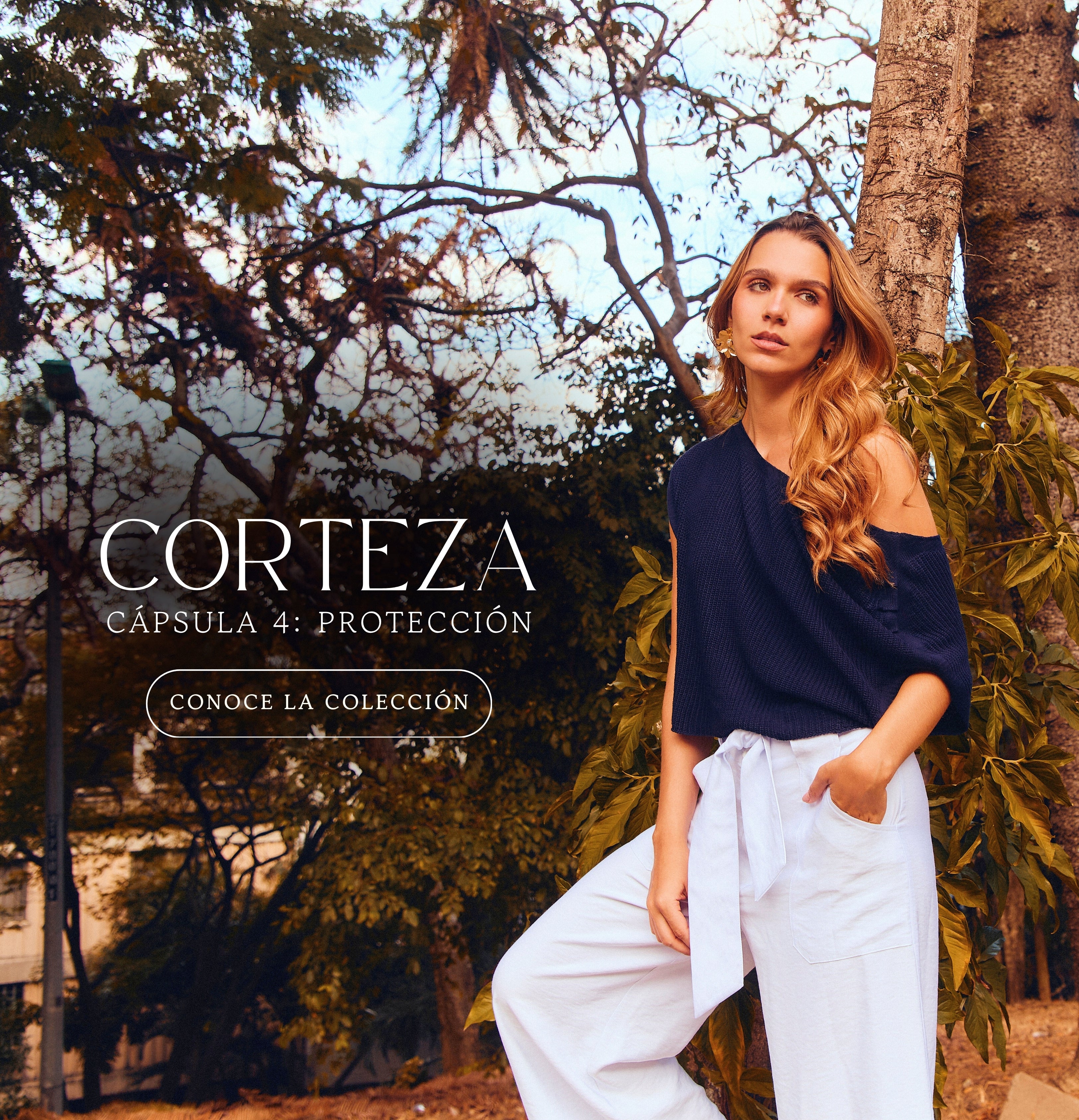 corteza.jpg